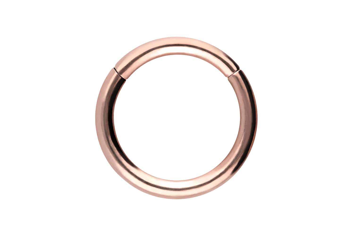 Chirurgenstahl Segmentring Clicker Piercing